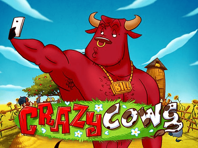 Crazy Cows